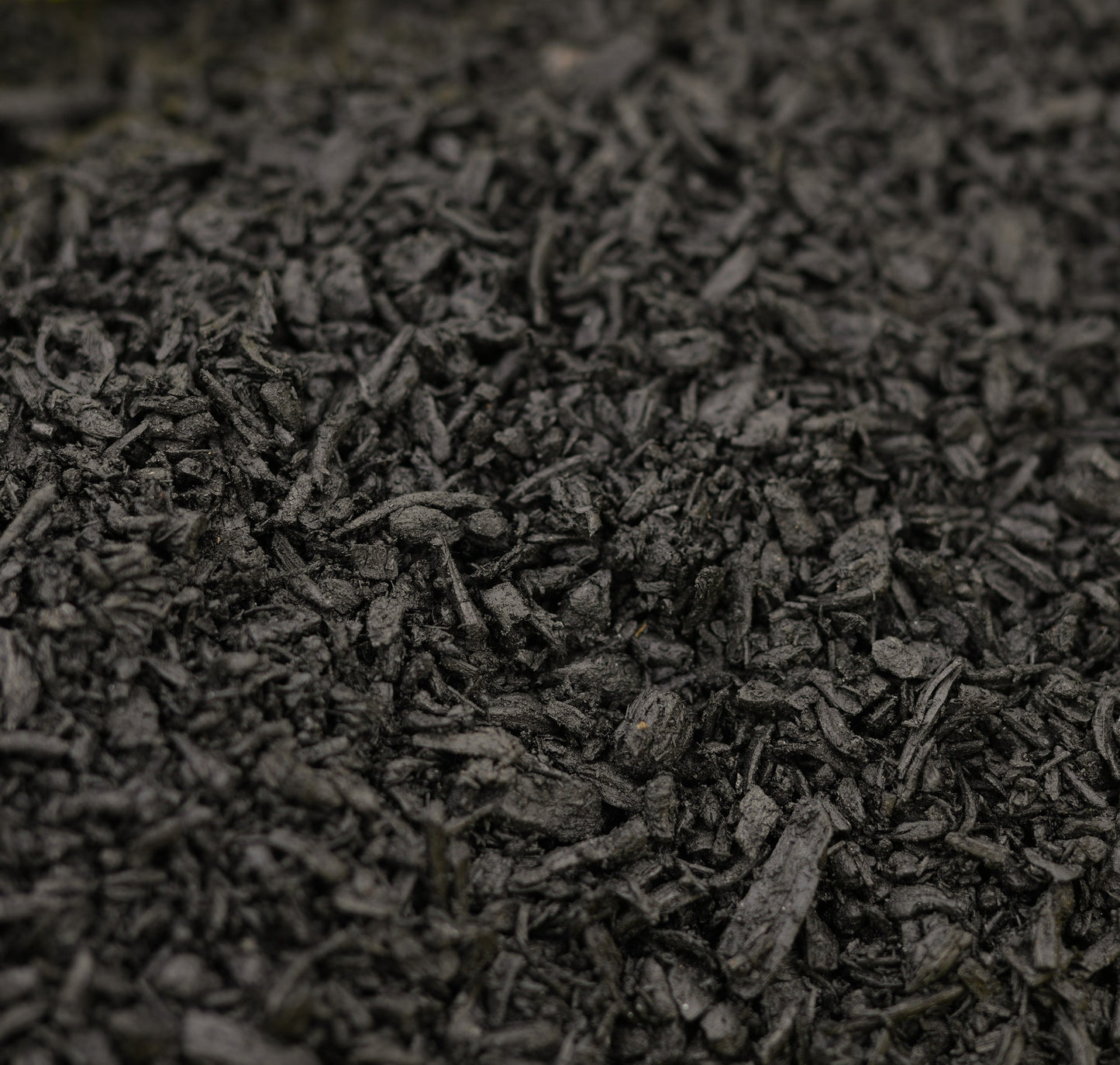 Biochar close up