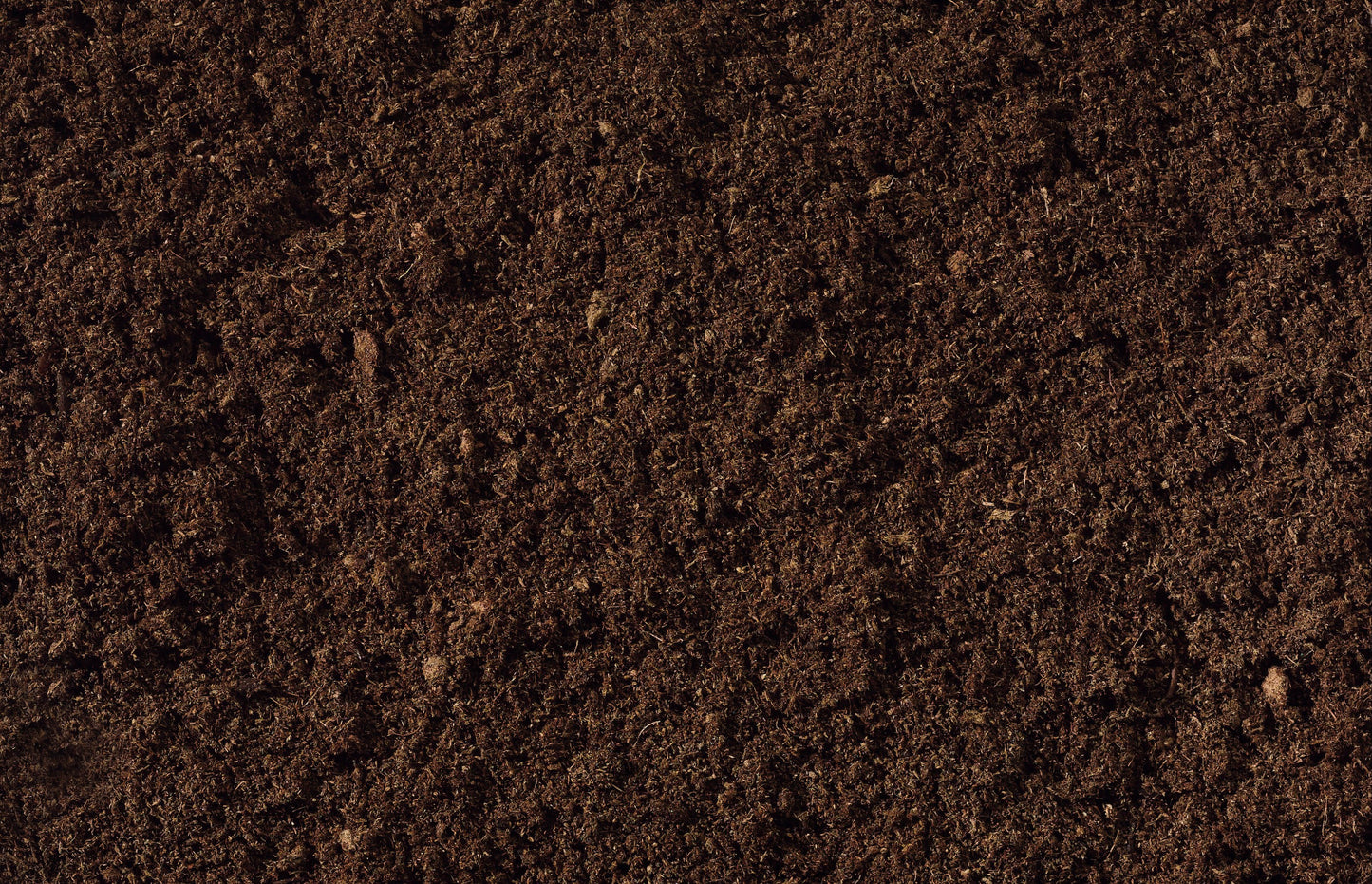 compost and soil close up
