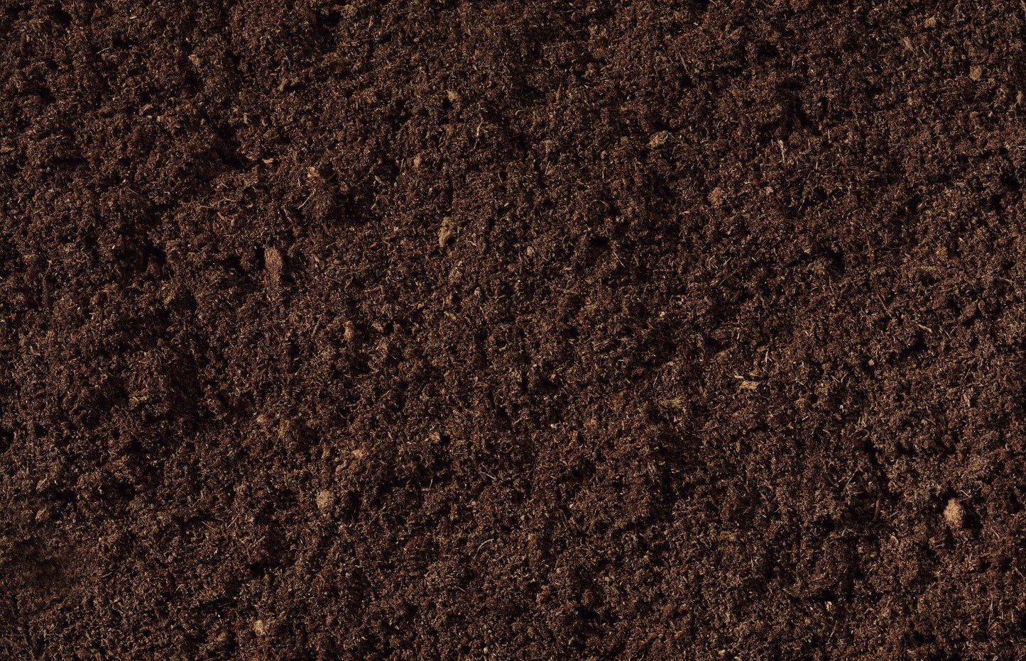 compost close up