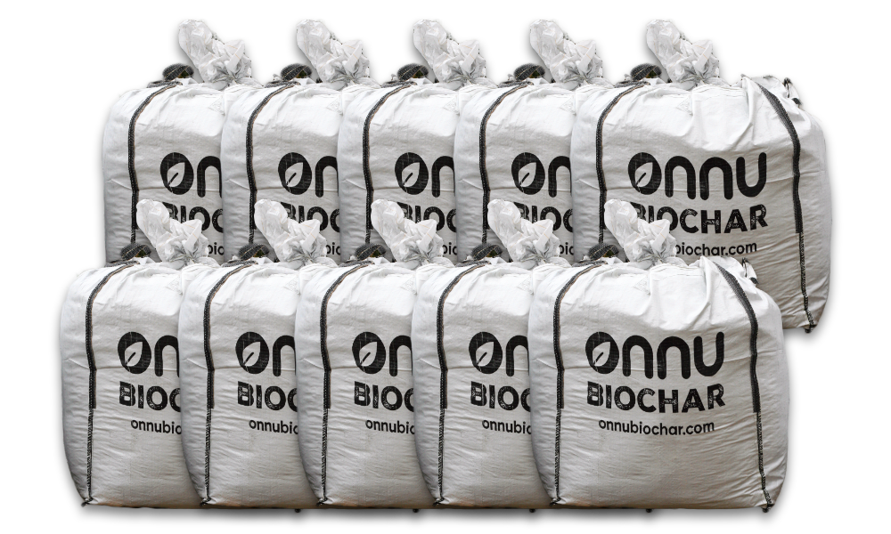 Ten bulk bags in two rows.