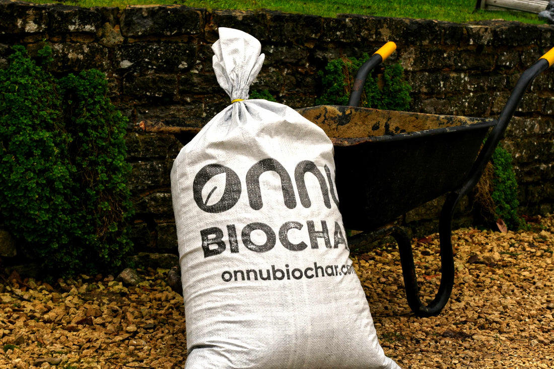 Gardening Tips for March: Help Your Garden Spring Back To Life With Biochar