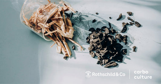 Rothschild & Co's Partnership with Carbo Culture for Biochar Credits
