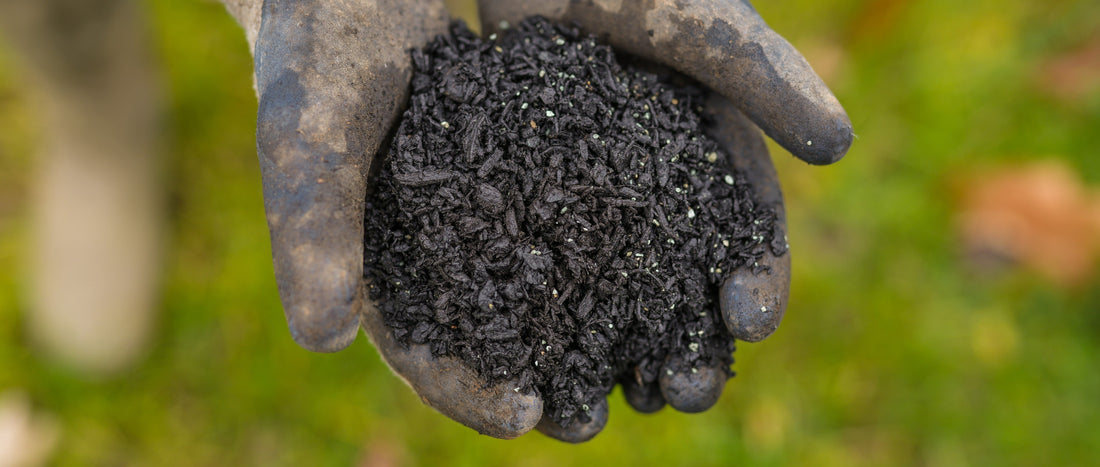 Gardening Tips for January: Incorporating Biochar into Your Gardening Routine