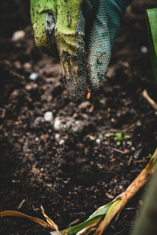 Introducing Our Inoculated Biochar Range