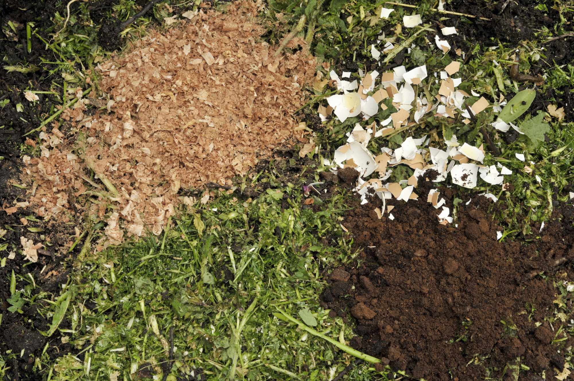 A range of biomass on the ground. It includes wood shavings, egg shell, coffee grounds and green salad leaves.