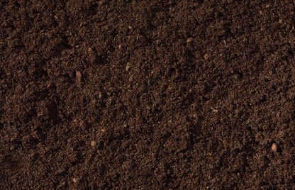 compost and soil close up