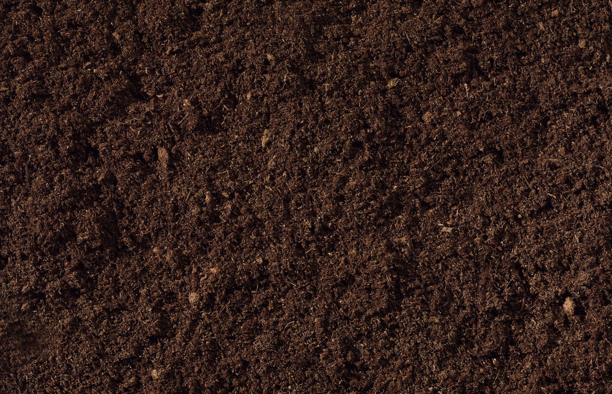 compost and soil close up