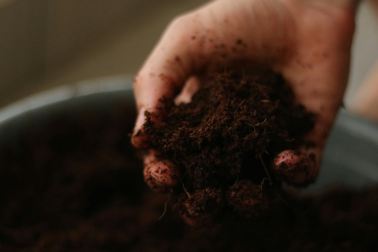 soil held on a palm