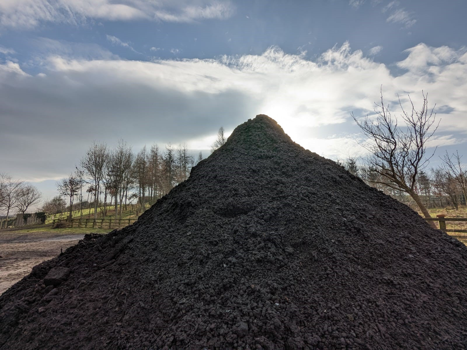 A mound of biochar